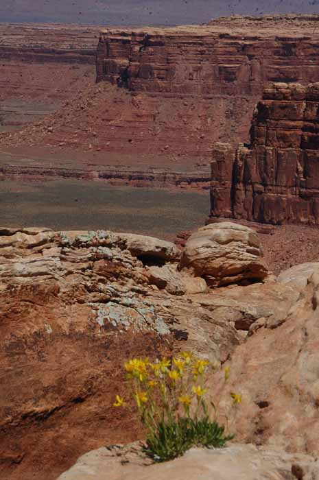 taken from Muley Point